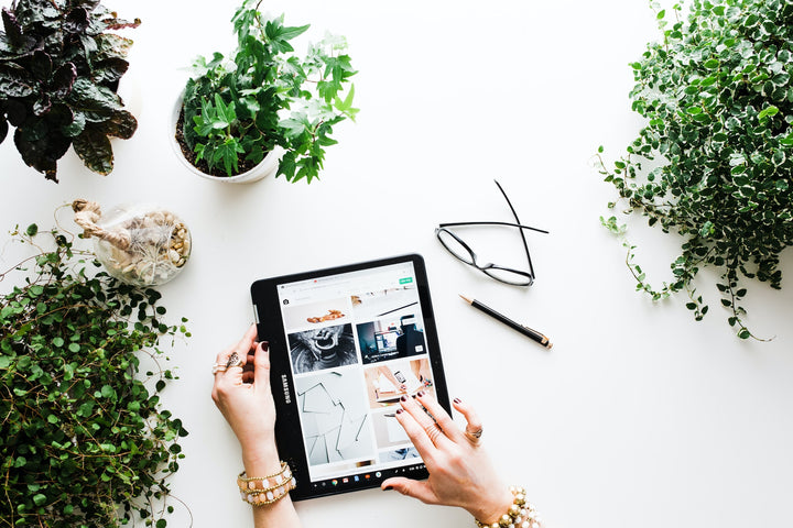 Say Goodbye to Dead Desk Plants: How Algae Bio-Filters Thrive
Indoors