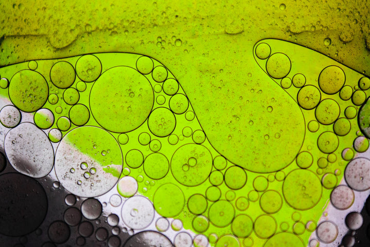 Algae as Living Art: The Intersection of Science and Aesthetics