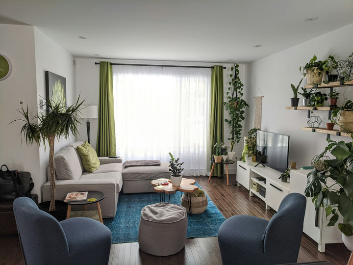 Living Algae Decor: Merging Biotechnology With Interior
Design